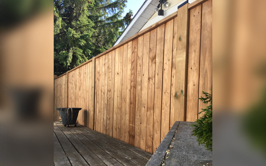 Backyard fence and gate