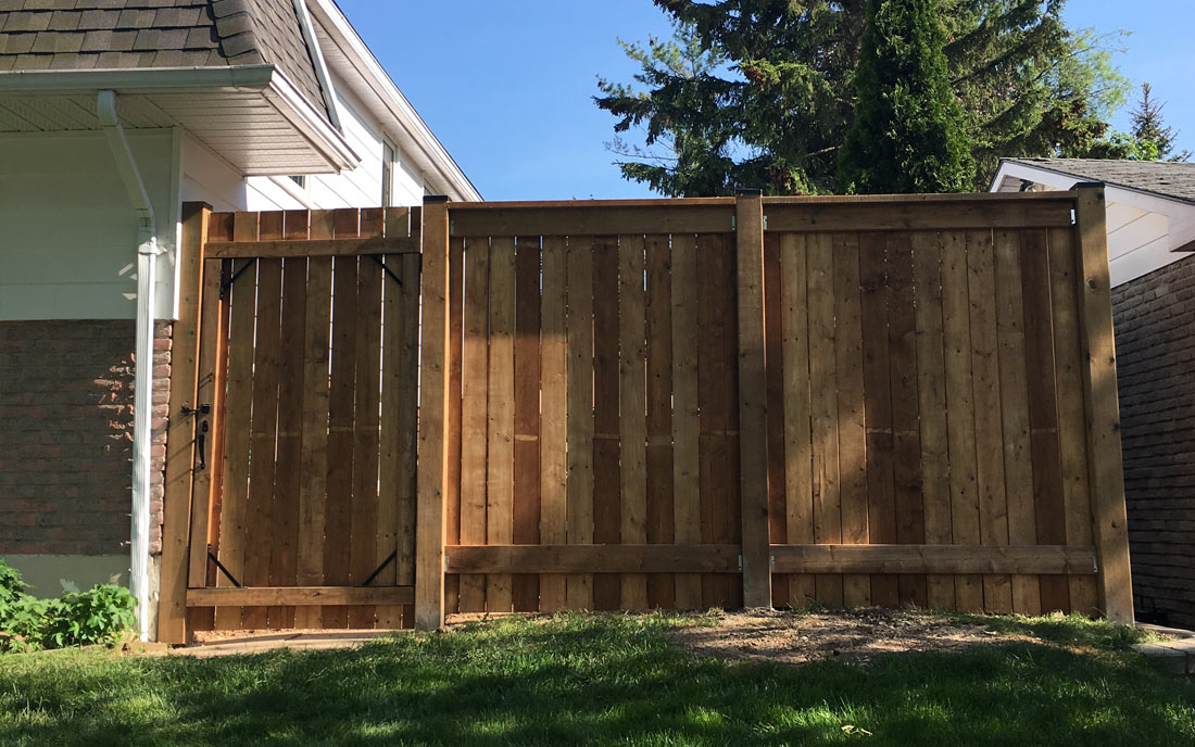 Backyard fence and gate